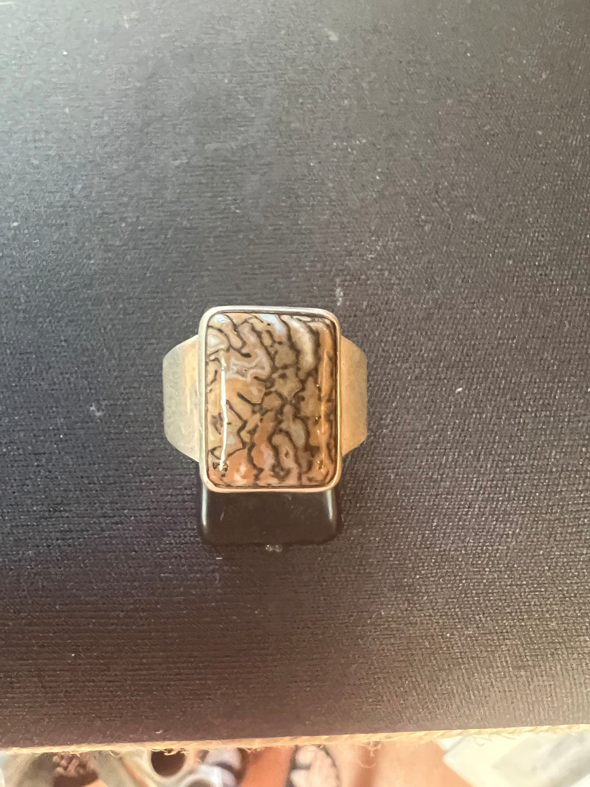 Ring Sterling Silver: Petrified Wood