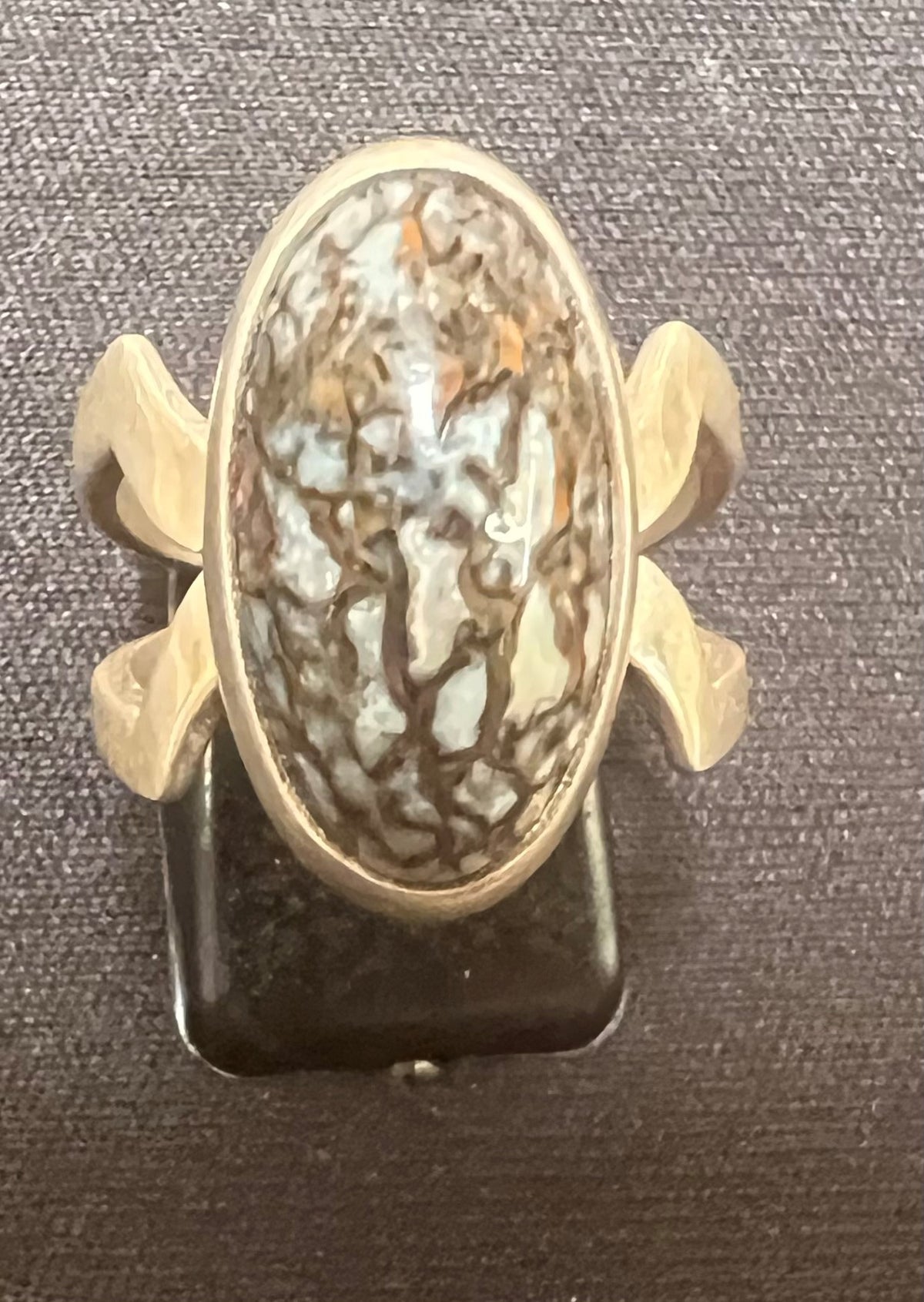 Ring: Sterling Silver (Dinosaur Bone)