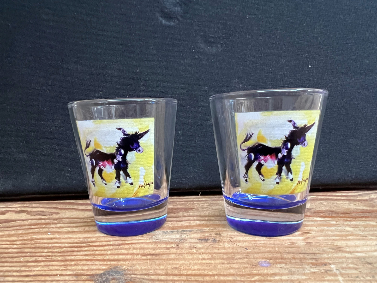 Shot Glass: Wondering Burro
