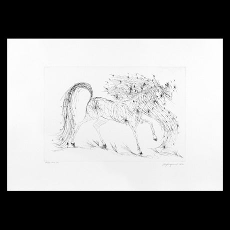 Etching: Black & White Dream Horse