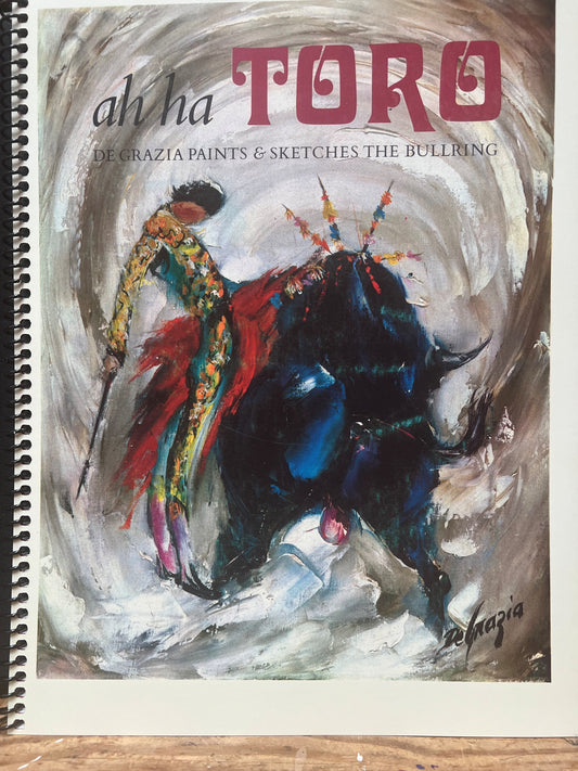 Book: Ah Ha Toro