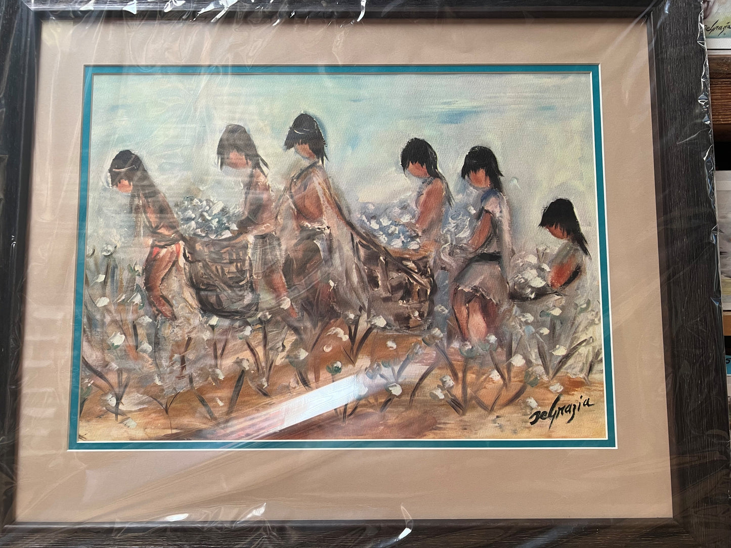 Framed: Pima Indians picking cotton